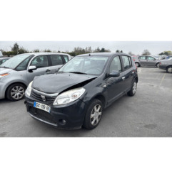 Porte arriere gauche DACIA SANDERO 1