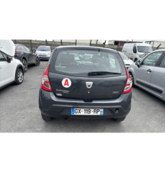 Porte arriere gauche DACIA SANDERO 1