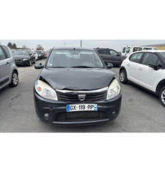 Porte arriere gauche DACIA SANDERO 1