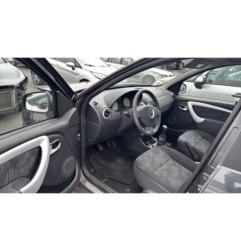 Porte arriere gauche DACIA SANDERO 1