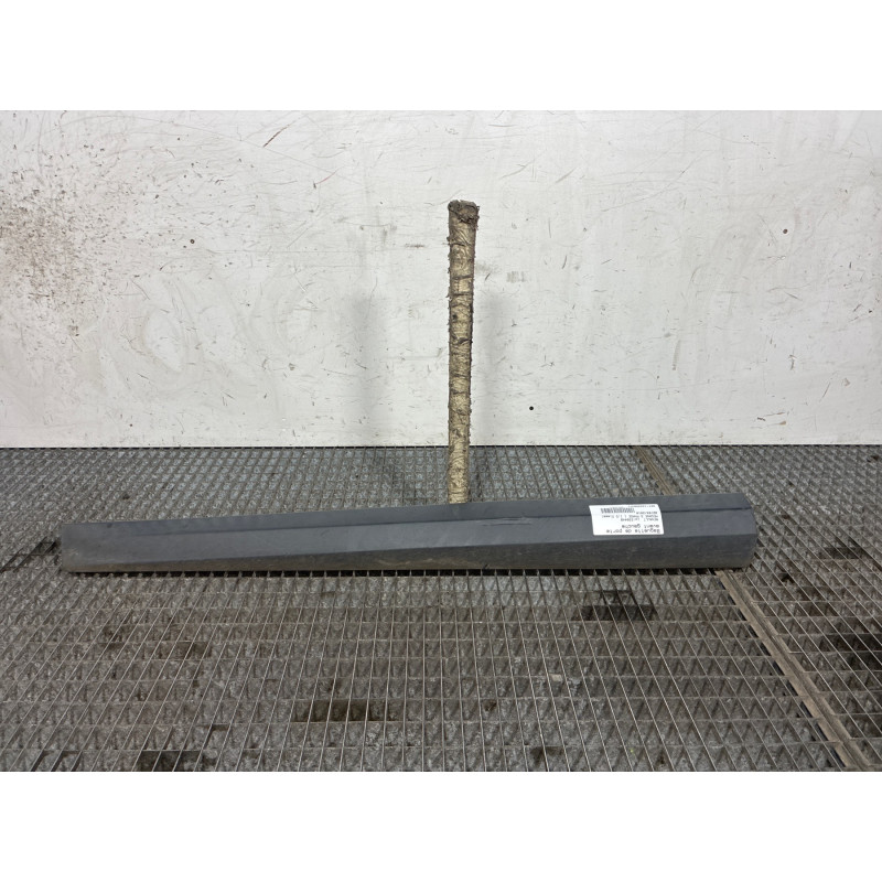 Baguette de porte avant gauche RENAULT MEGANE 3 Photo n°4