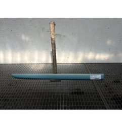 Baguette de porte avant gauche RENAULT GRAND MODUS