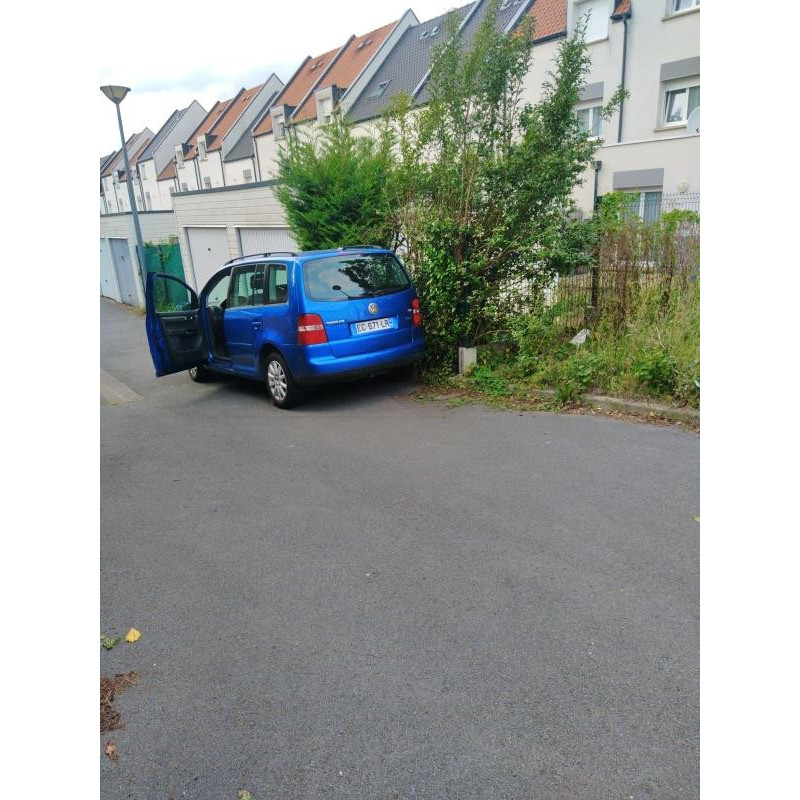 Porte avant gauche VOLKSWAGEN TOURAN 1 Photo n°9