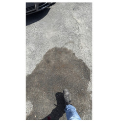 Anti brouillard gauche (feux) RENAULT SCENIC 1