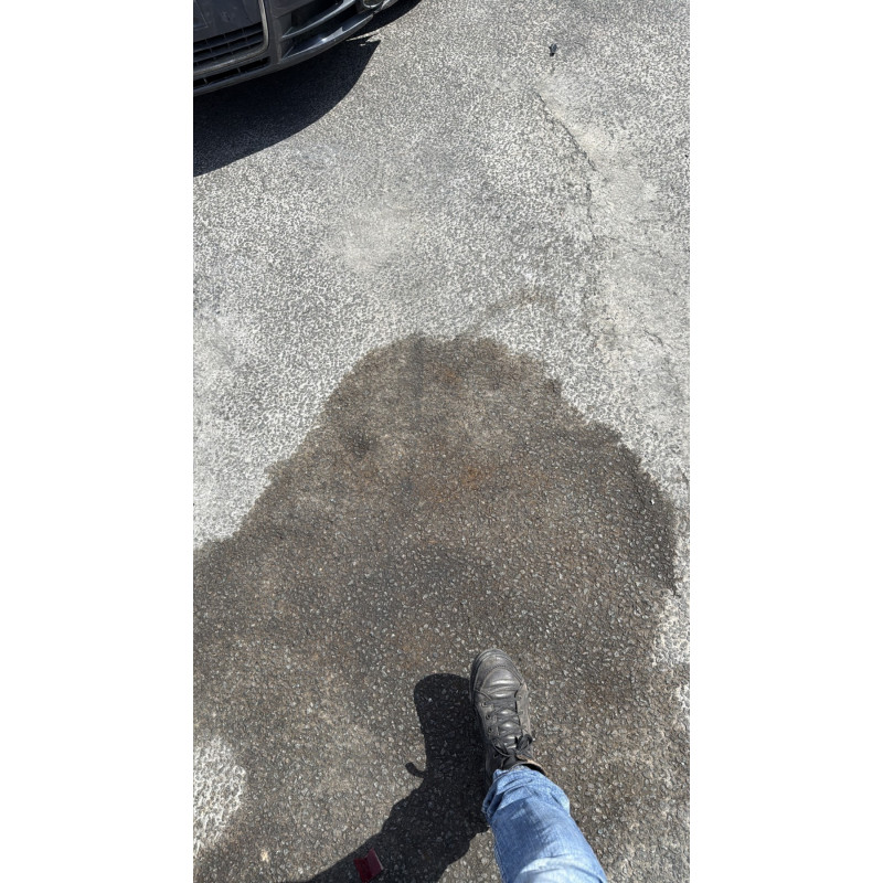 Anti brouillard gauche (feux) RENAULT SCENIC 1 Photo n°4