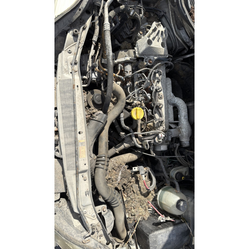 Anti brouillard gauche (feux) RENAULT SCENIC 1 Photo n°16