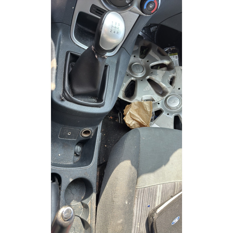 Porte avant gauche FORD FIESTA 6 Photo n°14