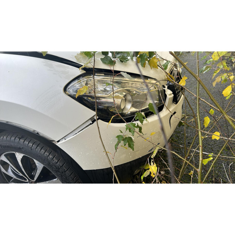 Etrier avant gauche (freinage) NISSAN QASHQAI 1 Photo n°10