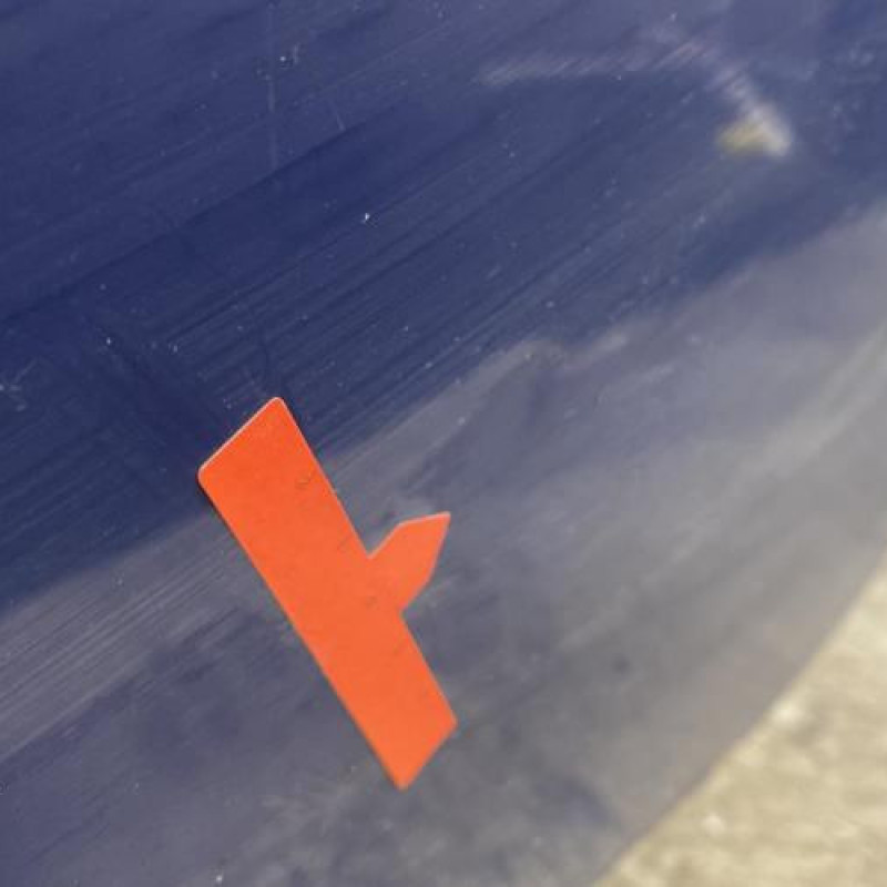 Porte avant gauche RENAULT MEGANE 2 Photo n°4