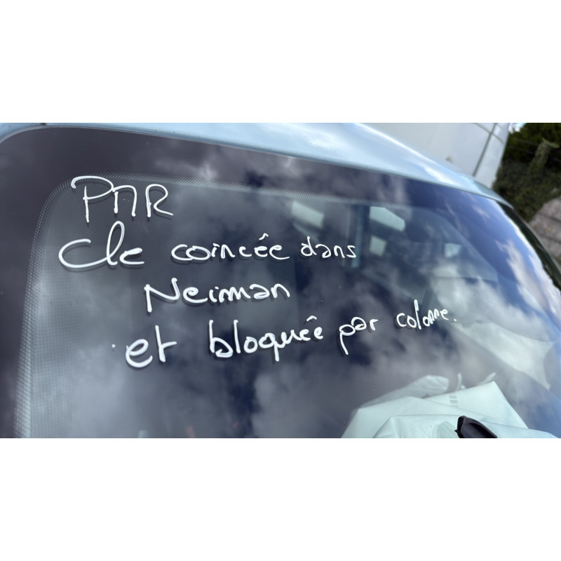 RENAULT TWINGO 3 PHASE 2 ZE Photo n°9