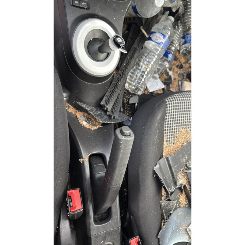 RENAULT TWINGO 3 PHASE 2 ZE Photo n°18