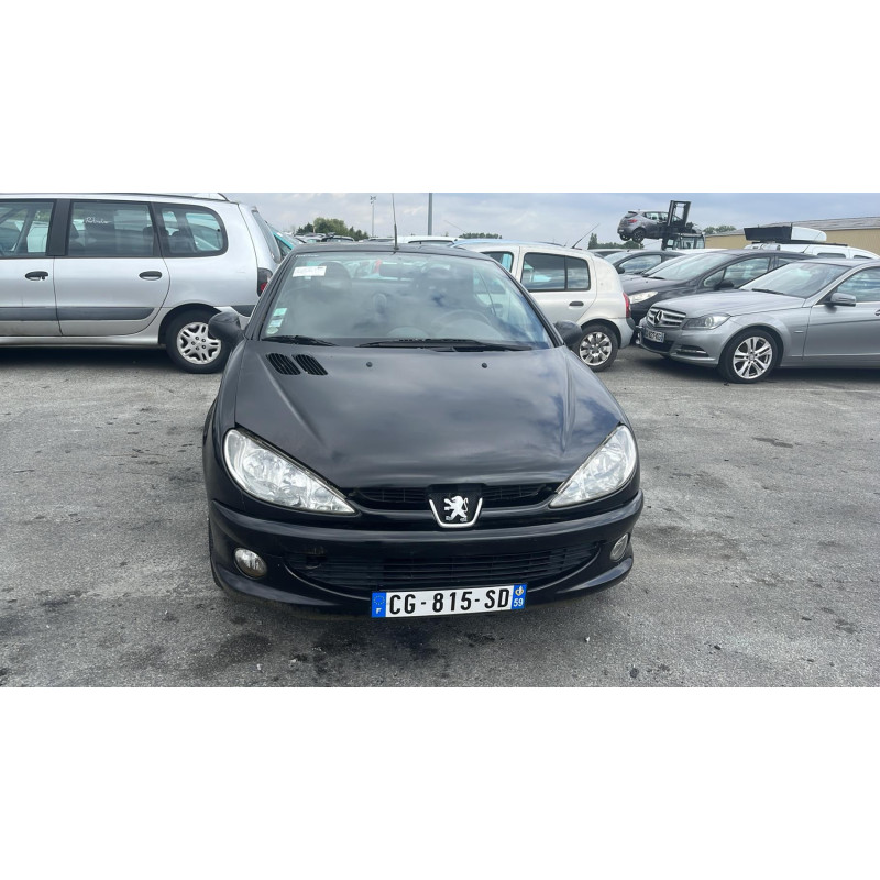 Porte avant gauche PEUGEOT 206 Photo n°11