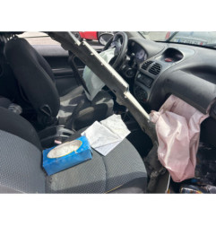 Baguette de porte avant gauche PEUGEOT 206