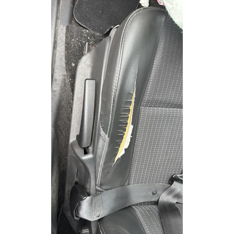 Arret de porte avant gauche RENAULT GRAND SCENIC 3 Photo n°18