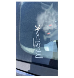 Moteur RENAULT CLIO 3