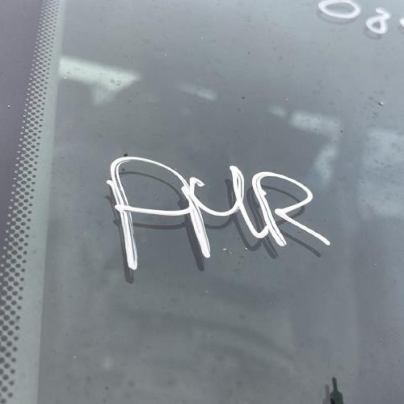 Poignee porte avant gauche RENAULT TRAFIC 2 Photo n°20