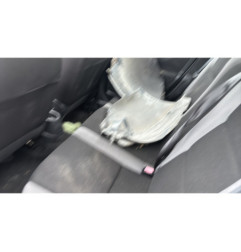 Feu arriere principal droit (feux) PEUGEOT 207