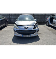 Porte arriere gauche PEUGEOT 207