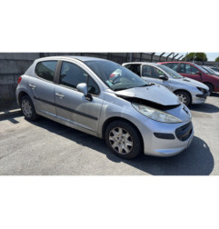 Porte arriere gauche PEUGEOT 207