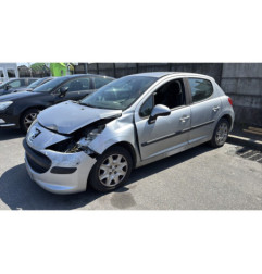 Porte arriere gauche PEUGEOT 207