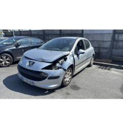 Porte arriere gauche PEUGEOT 207