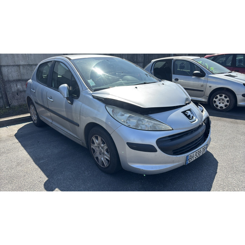 Porte arriere gauche PEUGEOT 207 Photo n°13