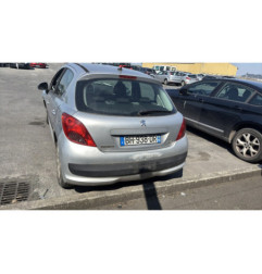 Porte arriere gauche PEUGEOT 207