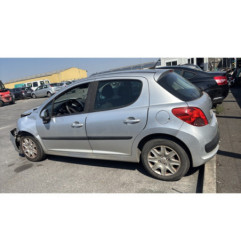 Porte arriere gauche PEUGEOT 207