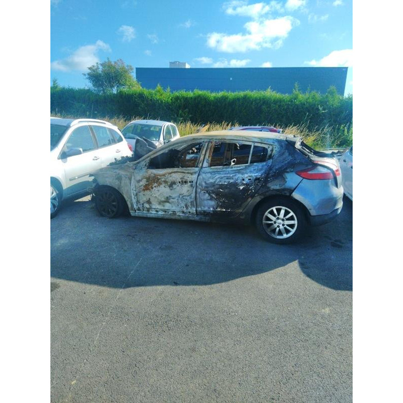 Etrier arriere droit (freinage) RENAULT MEGANE 3 Photo n°10