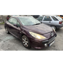Custode avant gauche (porte) PEUGEOT 307