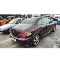 Custode avant gauche (porte) PEUGEOT 307