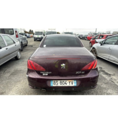 Custode avant gauche (porte) PEUGEOT 307