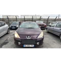 Custode avant gauche (porte) PEUGEOT 307