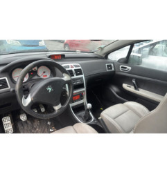 Custode avant gauche (porte) PEUGEOT 307