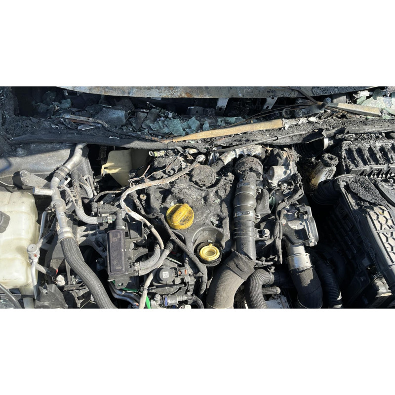 Etrier avant gauche (freinage) RENAULT MEGANE 4 Photo n°8