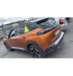 Poignee porte arriere gauche PEUGEOT 2008 2