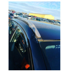 Catalyseur (echappement) RENAULT KOLEOS 1