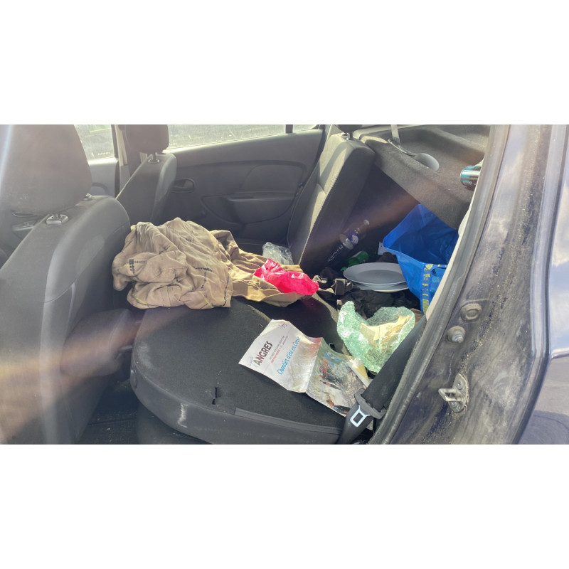 Poignee porte arriere droit DACIA SANDERO 2 Photo n°16