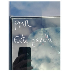 Poignee interieur avant gauche RENAULT CLIO 4