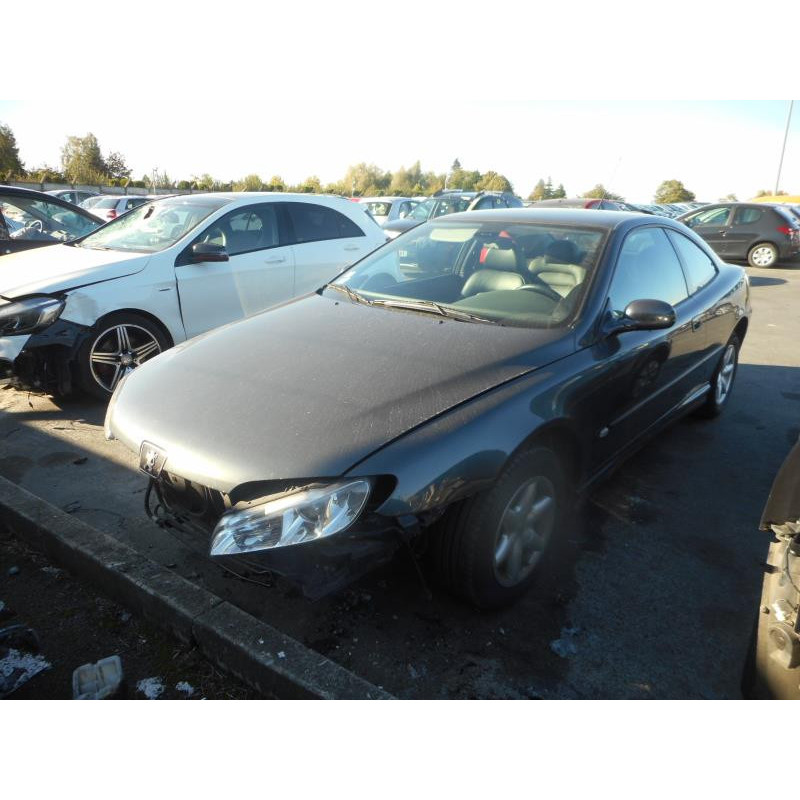 Poignee porte avant droit PEUGEOT 406 Photo n°4