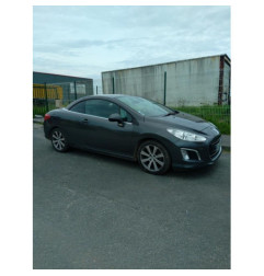 Pompe de direction PEUGEOT 308 1