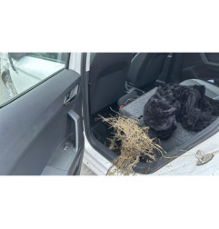 Pompe à vide SEAT IBIZA 5