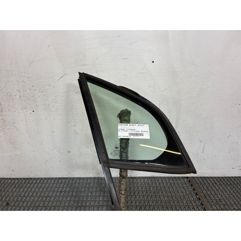 Custode avant droit (porte) CITROEN C3 2 Photo n°1