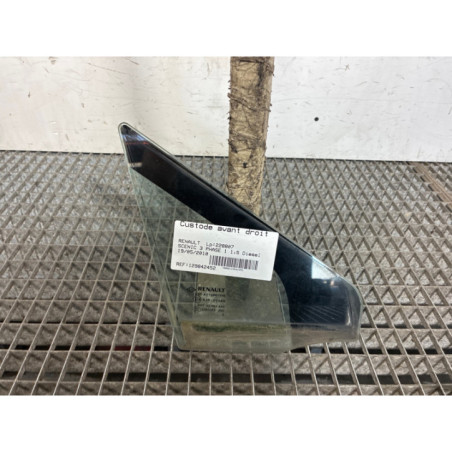 Custode avant droit (porte) RENAULT SCENIC 3