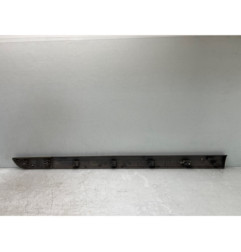 Baguette de porte avant droite RENAULT SCENIC 2 Photo n°1