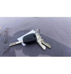 Catalyseur (echappement) CITROEN DS3