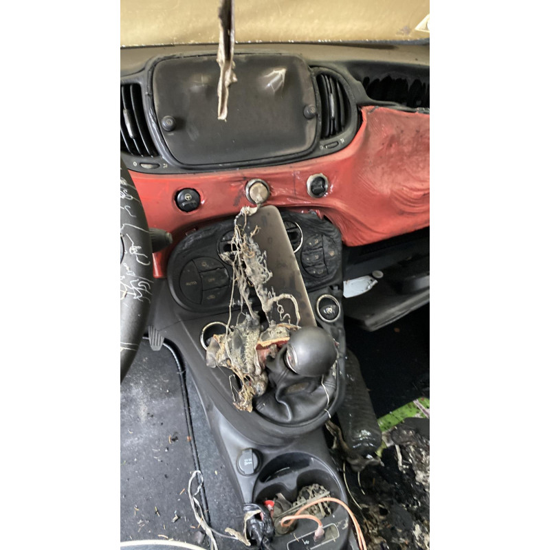 Alternateur FIAT 500 2 Photo n°8