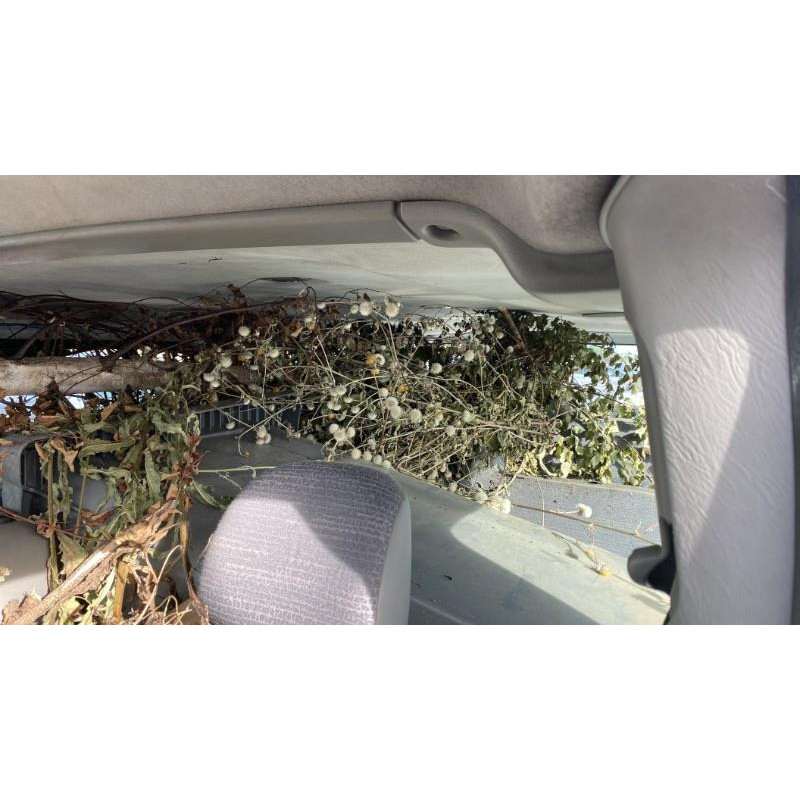 Pompe de direction RENAULT TRAFIC 2 Photo n°8