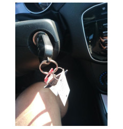 Alternateur FIAT PUNTO 3