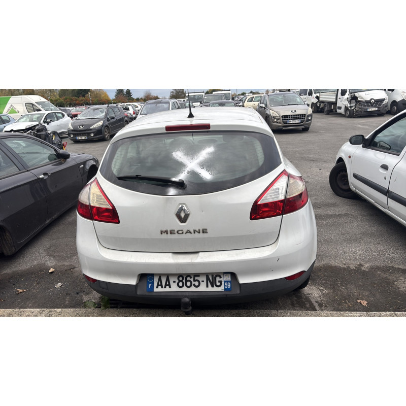 Baguette de porte arriere droite RENAULT MEGANE 3 Photo n°9